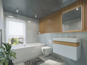 wc japonais