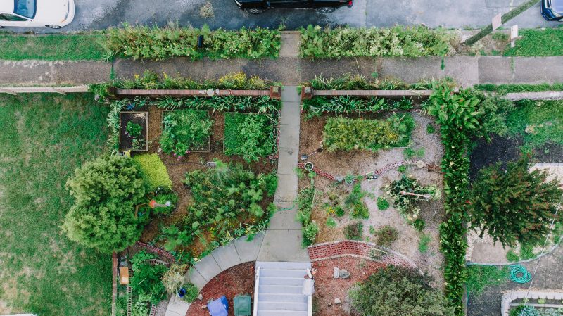 jardin urbain