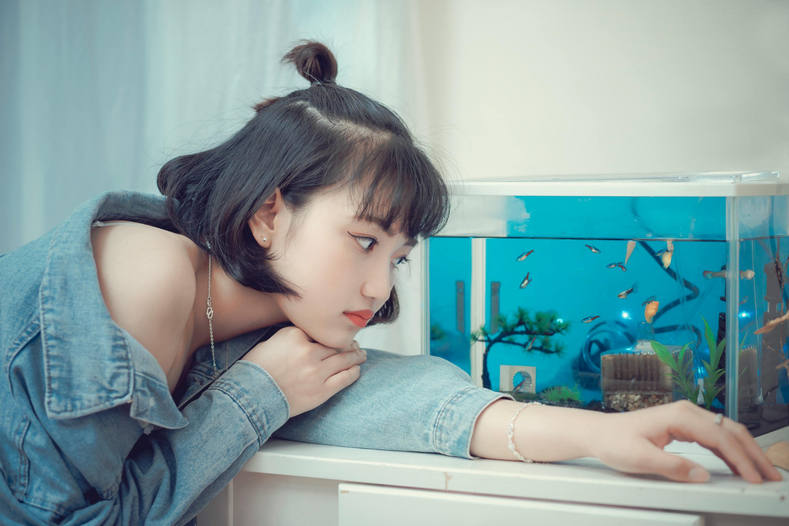 Comment transformer un aquarium en jardin japonais