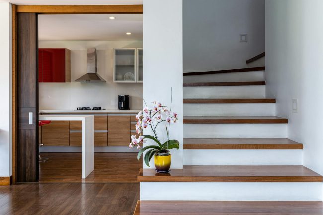 orchidée en intérieur