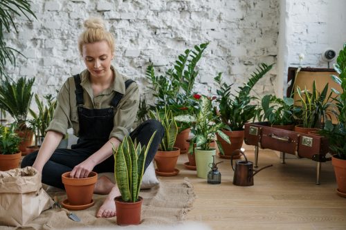 débuter en jardinage