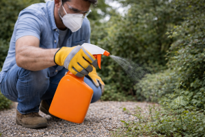 utilisation du glyphosate