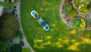 travail d'un paysagiste