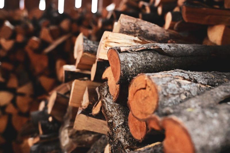 bûches de bois