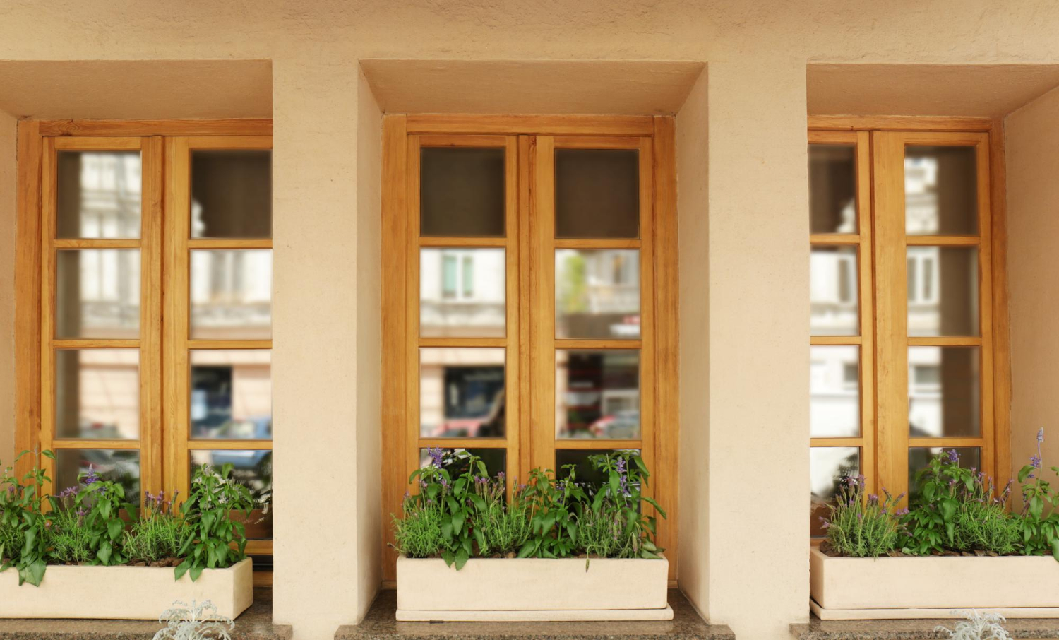 Fenêtres en bois modernes décorées de fleurs