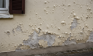 peinture qui cloque